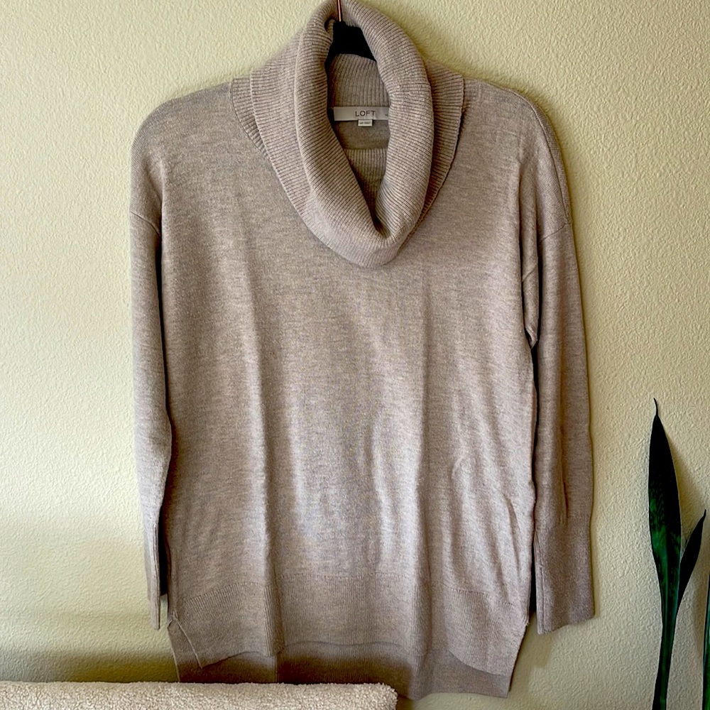 Ann Taylor Loft Turtleneck Sweater